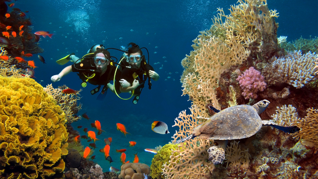 Maldive immersioni subacquee