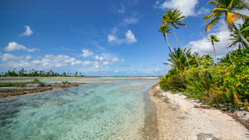 Viaggio di nozze in Polinesia: Isole Tuamotu