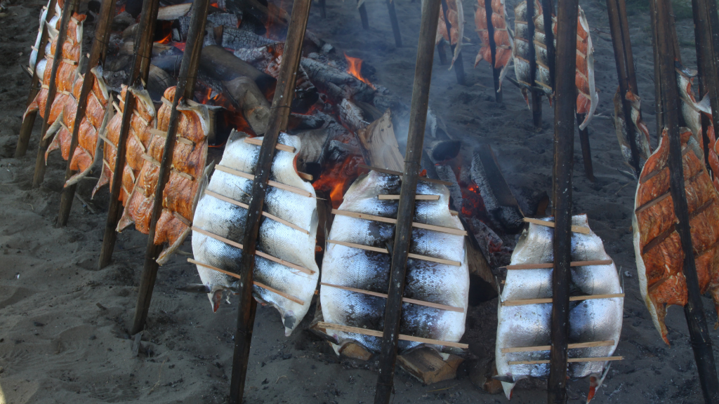 La cucina tradizionale del Great American West: cottura tradizionale del salmone dei nativi americani