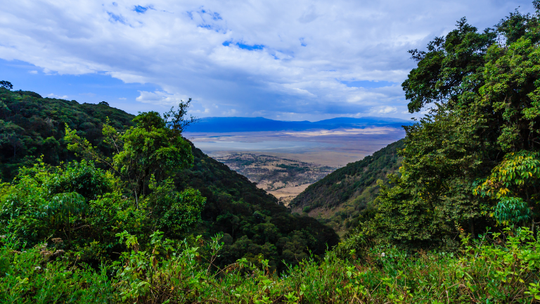 Cratere del Ngorongoro