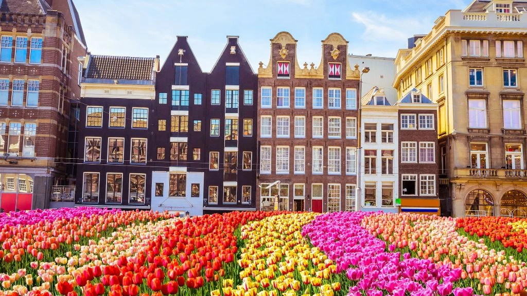 Amsterdam: tra canali, Arte e magia senza tempo