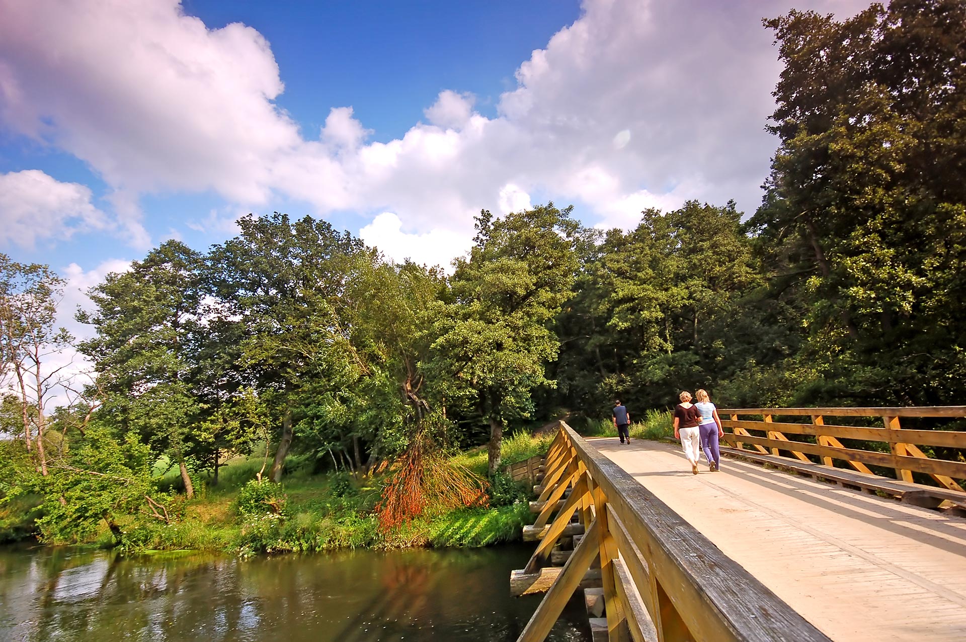 Persone che corrono e camminano lungo il Schuylkill River Trail a Philadelphia, Pennsylvania, su un sentiero asfaltato immerso nel verde lungo il fiume Schuylkill
