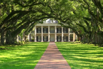 Piantagioni Louisiana