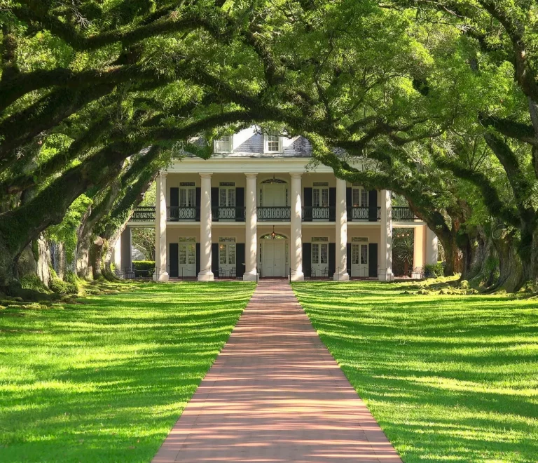 Piantagioni Louisiana